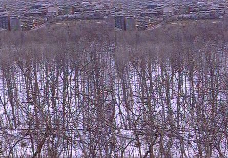 3d2_mont_royal3.jpg (56087 octets)